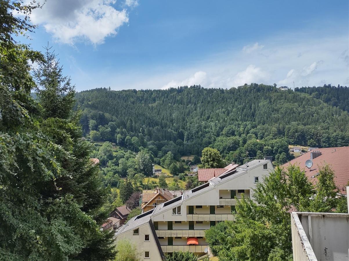 Ein-Zimmer Apartment Mit Aussicht バート・ヴィルトバート エクステリア 写真